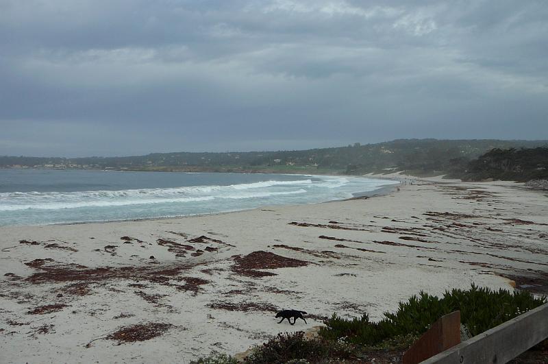 Carmel 10-30-08 238.jpg